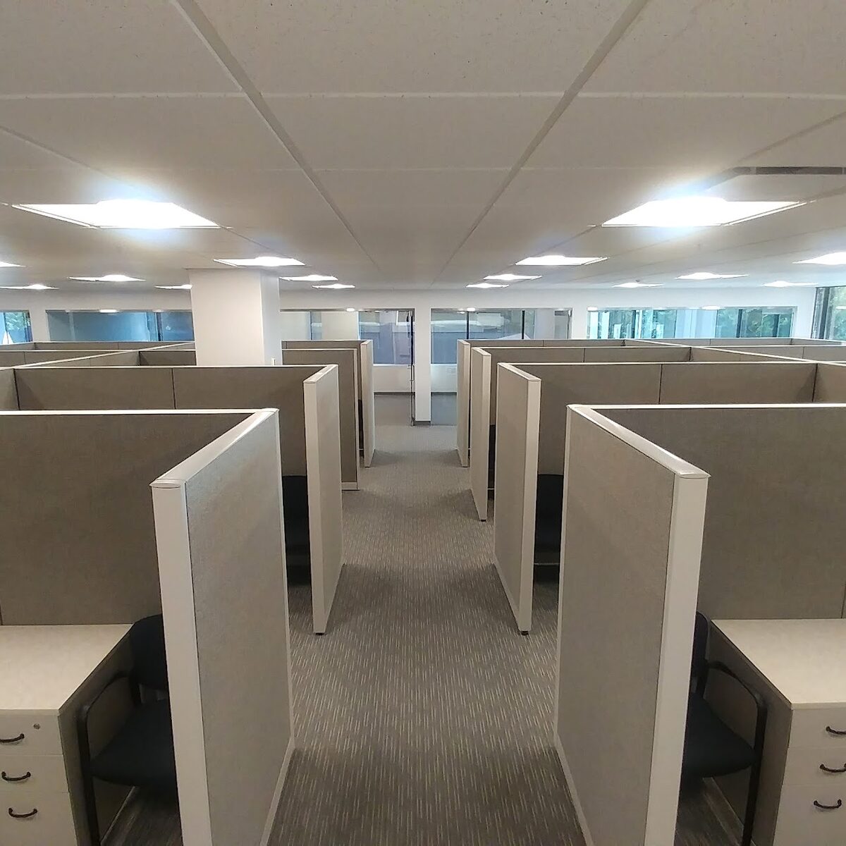 Clean, freshly treated open office with cubicles